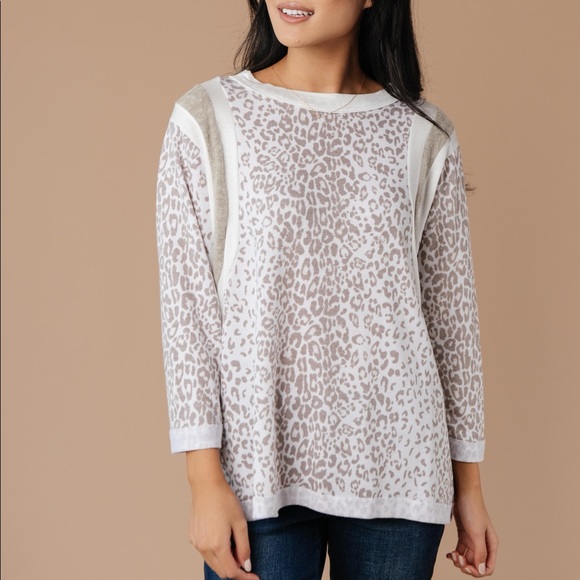 Racing Stripes Animal Print Top in Taupe - Picture 5 of 15